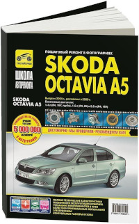 Prew Skoda Octavia 04 13 TR%281%29